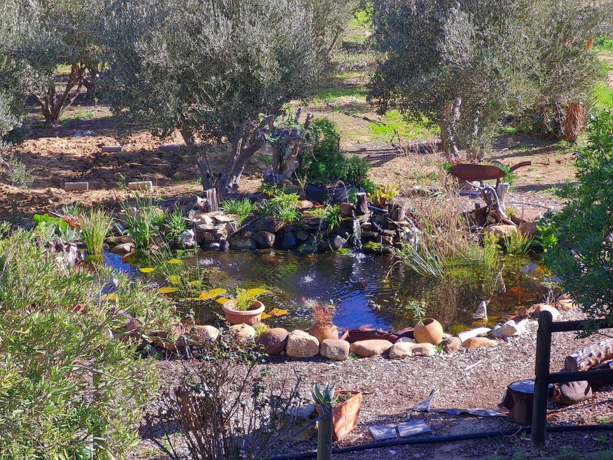 Villa Tarentaal Tulbagh Bagian luar foto